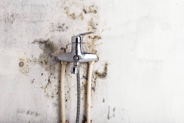 Best Mold Cleaning Services  in Mescal, AZ