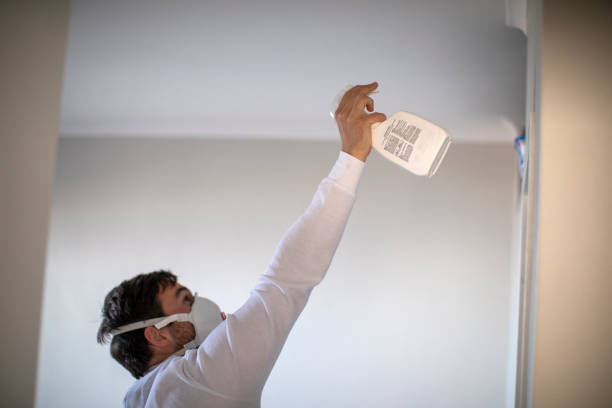 Best Certified Mold Removal  in Mescal, AZ