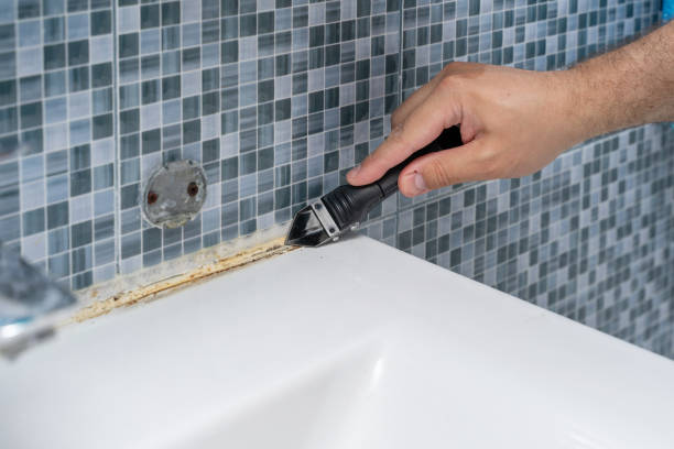 Best Mold Testing  in Mescal, AZ
